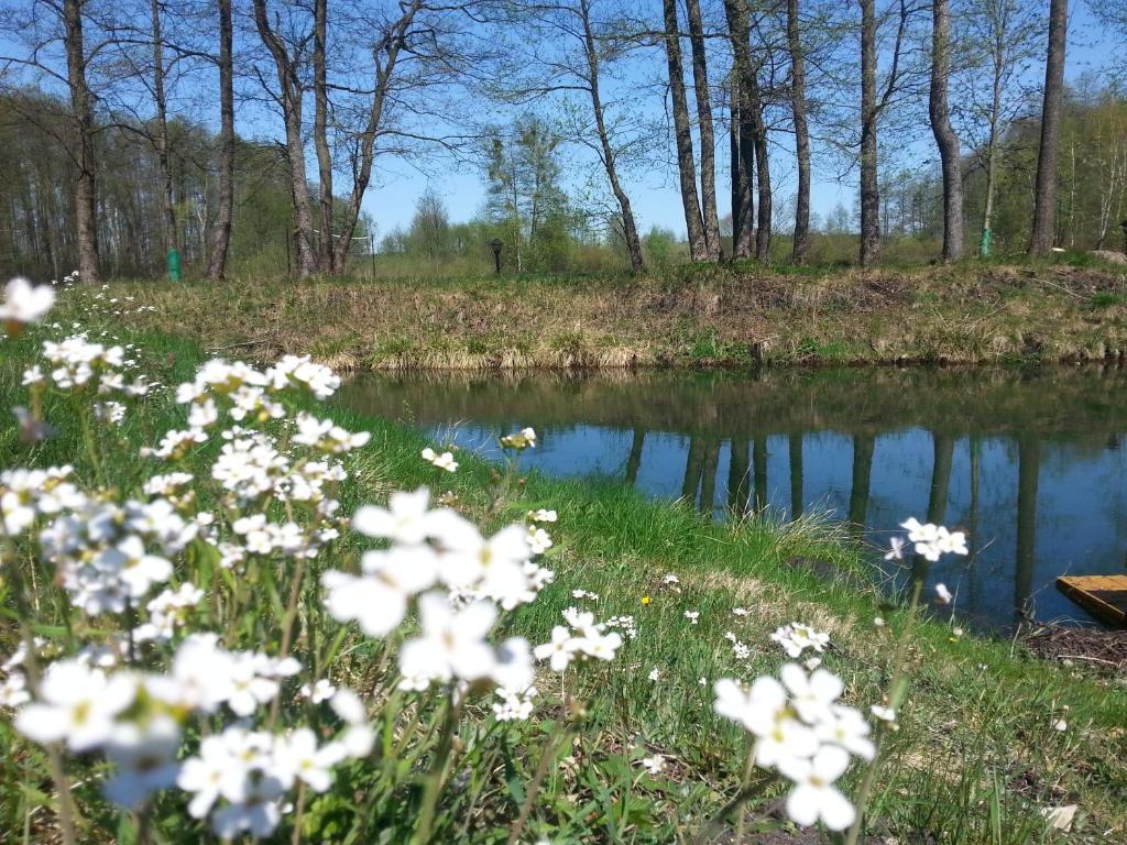 Gosciniec Kipnick Villa Szczytno  Bagian luar foto